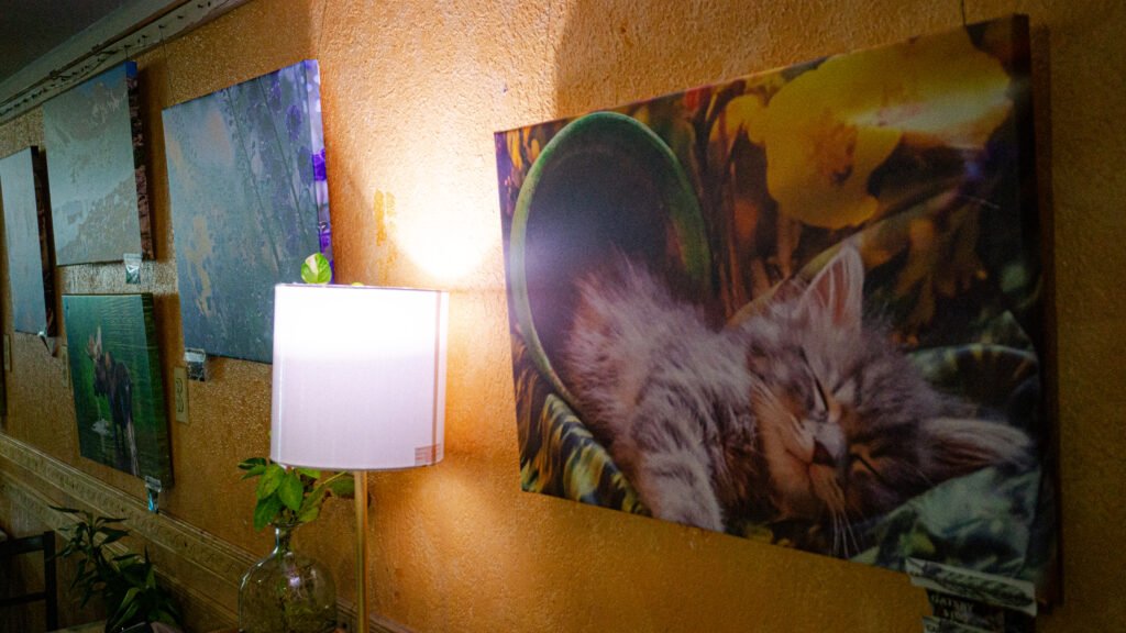 A wall of framed art prints on display in the Higher Grounds Cafe gallery
